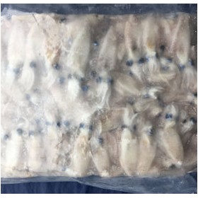 CALAMARETTI SP. 3/5 cm (puntillas) 900GR